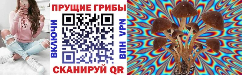 Псилоцибиновые грибы ЛСД  площадка официальный сайт  Калининец 