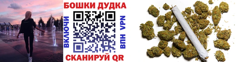 MEGA как войти  купить наркоту  Калининец  Бошки Шишки OG Kush 